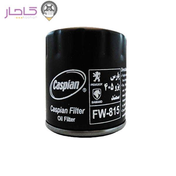فیلتر روغن پژو کاسپین  11400501