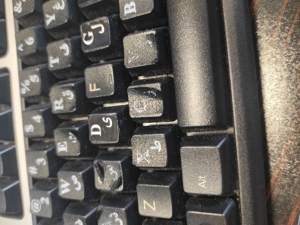لاستیک تست